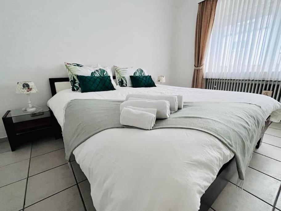 Appartement Near Belval Sanem المظهر الخارجي الصورة